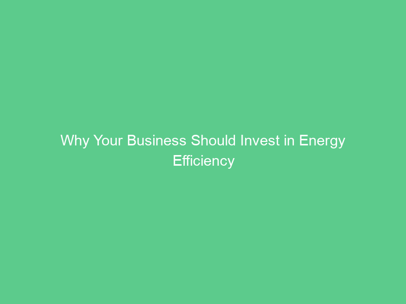 Why Your Business Should Invest in Energy Efficiency