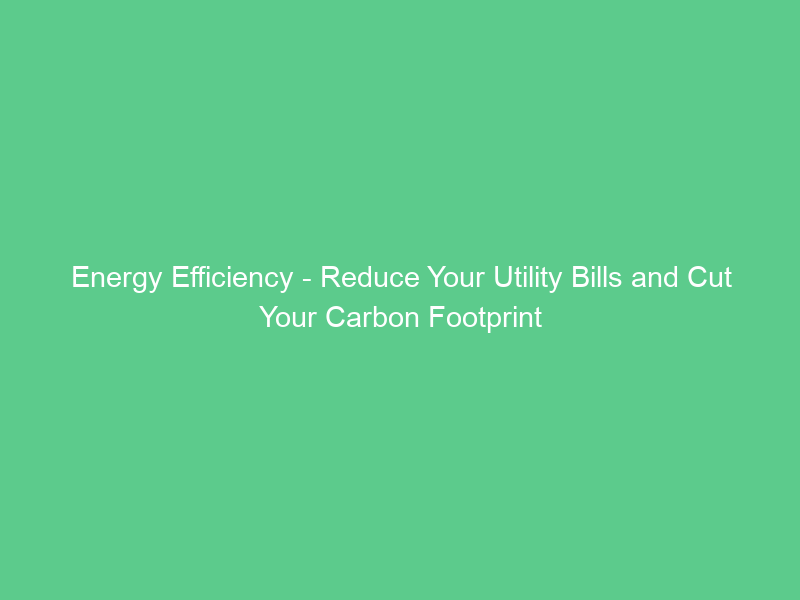 Energy Efficiency – Reduce Your Utility Bills and Cut Your Carbon Footprint