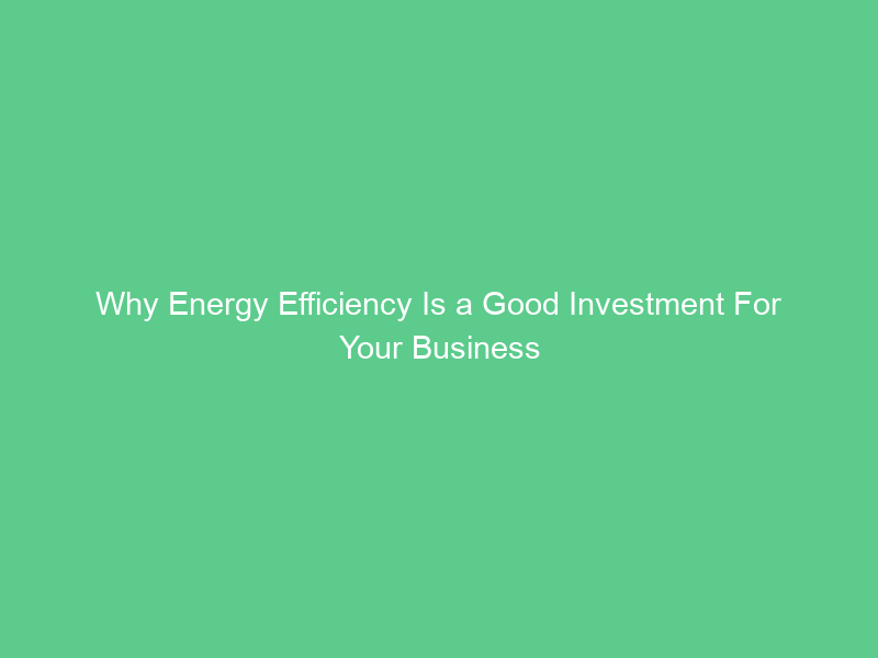 Why Energy Efficiency Is a Good Investment For Your Business