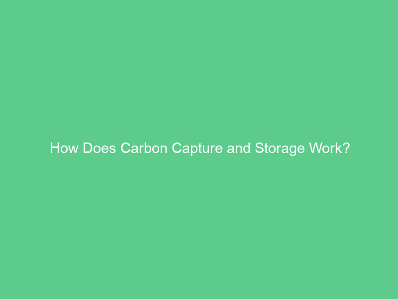 How Does Carbon Capture and Storage Work?