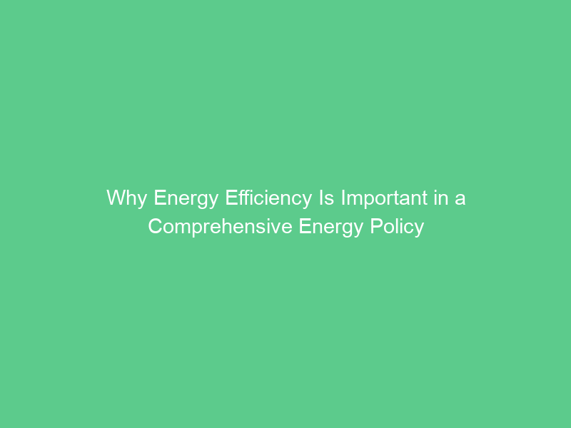 Why Energy Efficiency Is Important in a Comprehensive Energy Policy