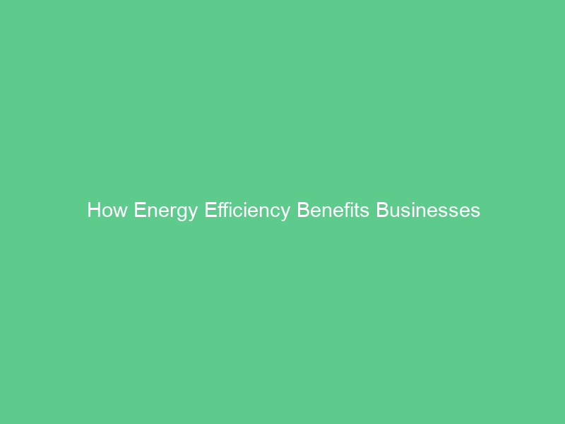 How Energy Efficiency Benefits Businesses