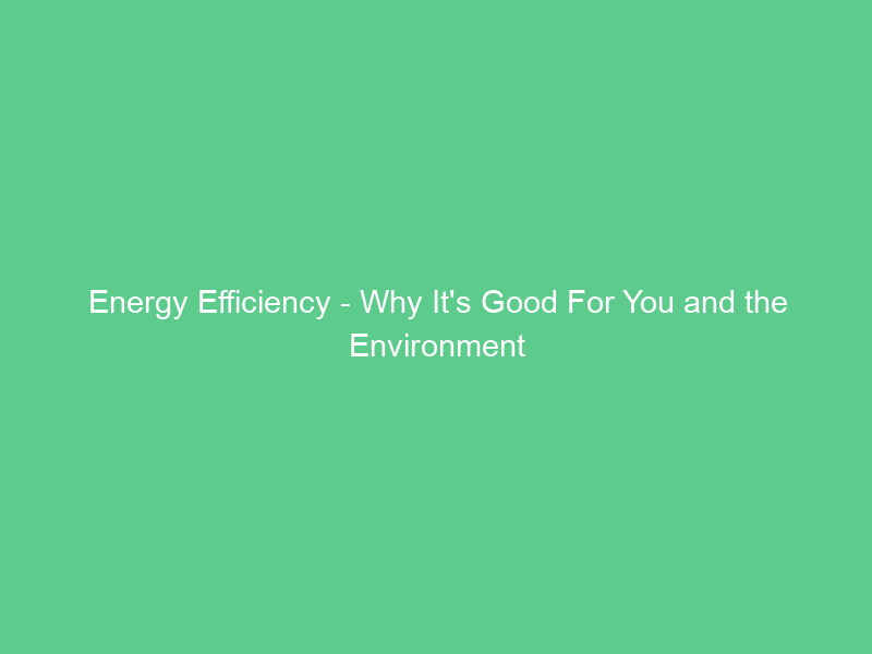 Energy Efficiency – Why It’s Good For You and the Environment