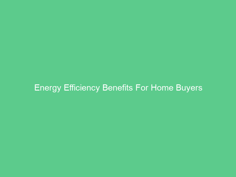 Energy Efficiency Benefits For Home Buyers