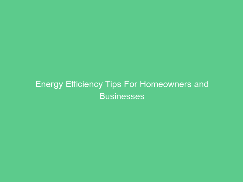 Energy Efficiency Tips For Homeowners and Businesses