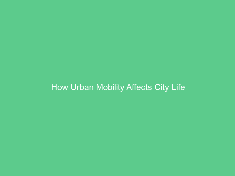 How Urban Mobility Affects City Life