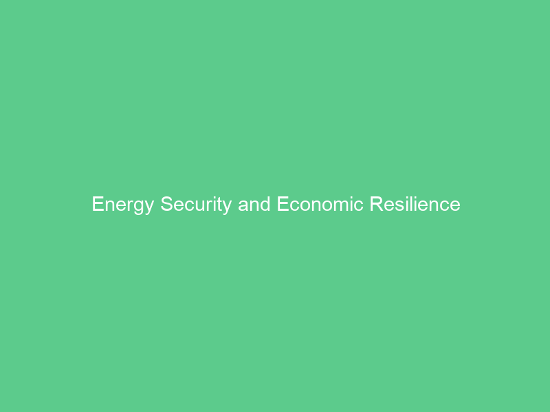 Energy Security and Economic Resilience