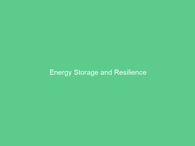 Energy Storage and Resilience