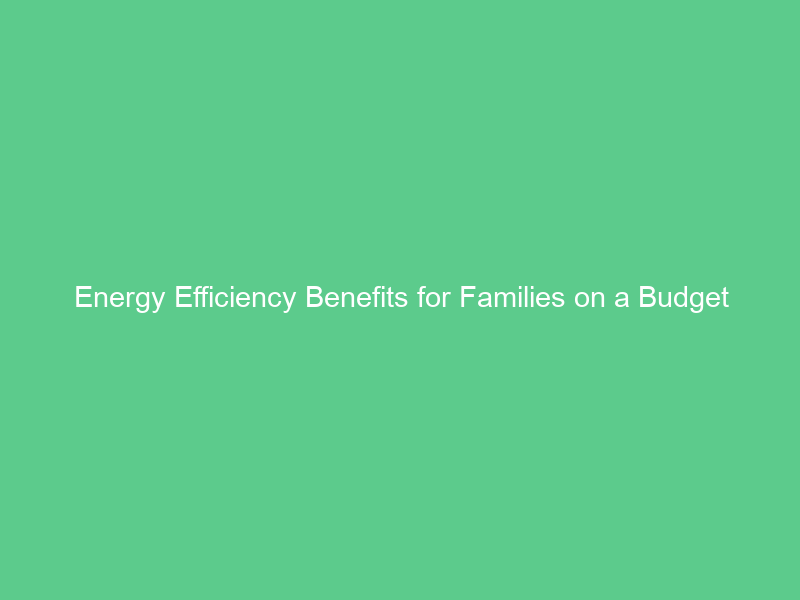 Energy Efficiency Benefits for Families on a Budget