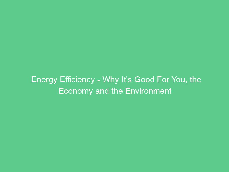 Energy Efficiency – Why It’s Good For You, the Economy and the Environment