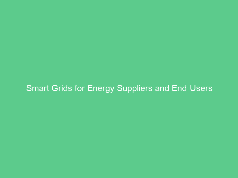 Smart Grids for Energy Suppliers and End-Users
