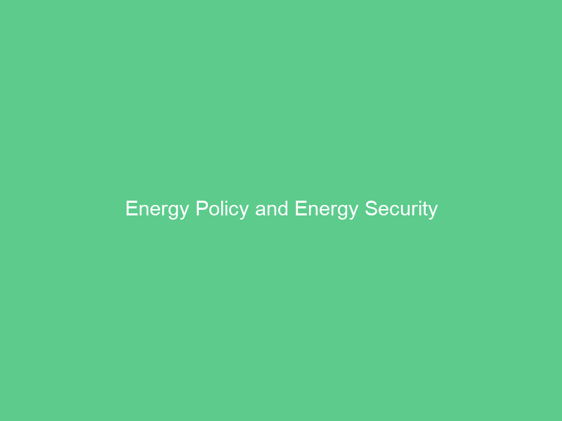 Energy Policy and Energy Security