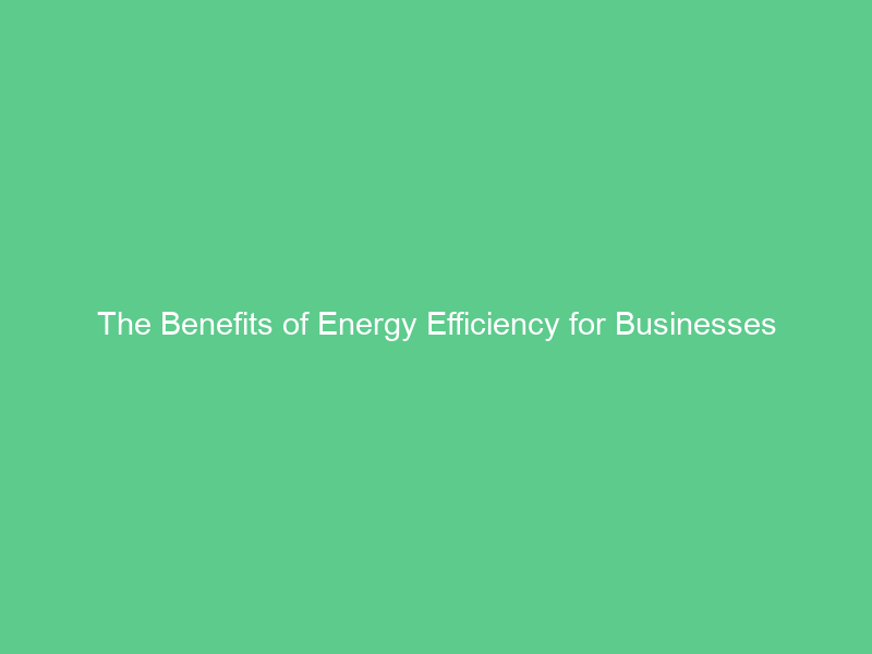 The Benefits of Energy Efficiency for Businesses
