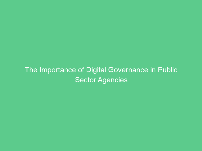 The Importance of Digital Governance in Public Sector Agencies