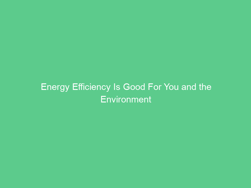 Energy Efficiency Is Good For You and the Environment