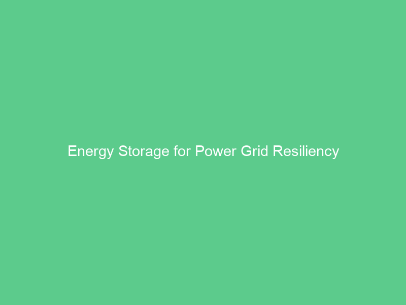 Energy Storage for Power Grid Resiliency