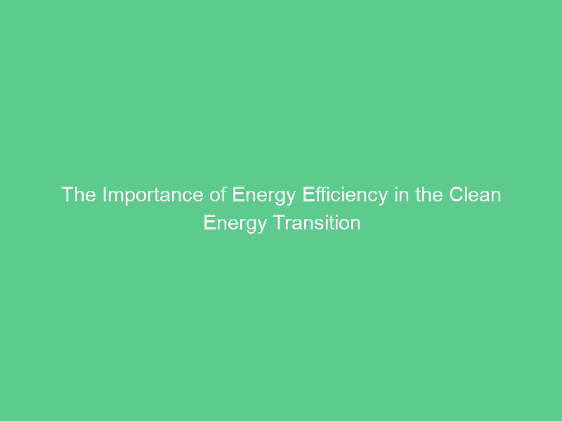 The Importance of Energy Efficiency in the Clean Energy Transition