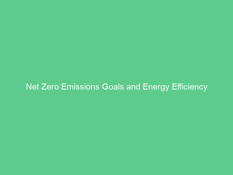 Net Zero Emissions Goals and Energy Efficiency
