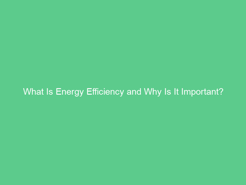 What Is Energy Efficiency and Why Is It Important?