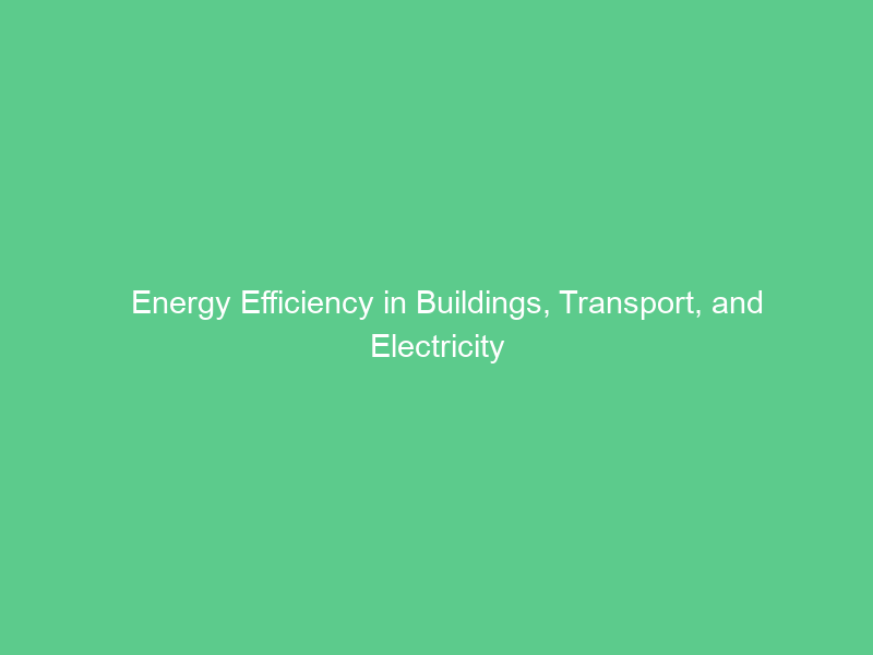 Energy Efficiency in Buildings, Transport, and Electricity