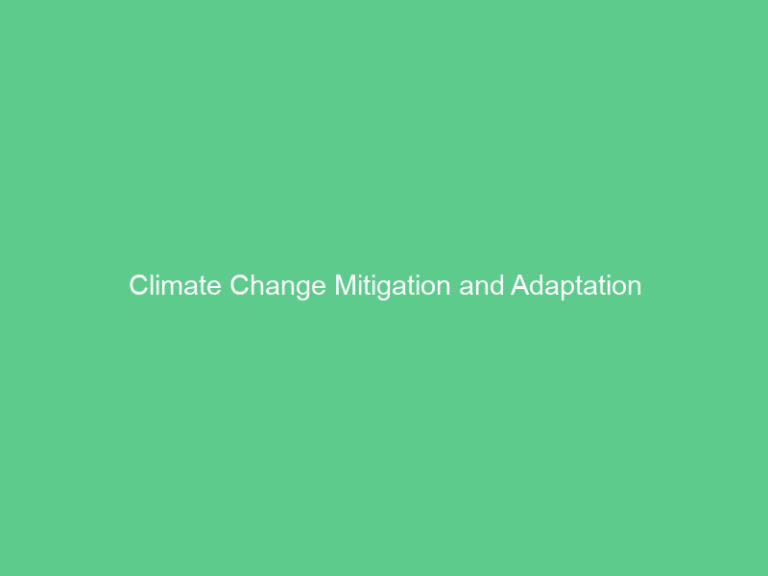 Climate Change Mitigation and Adaptation - Digital Energy Net