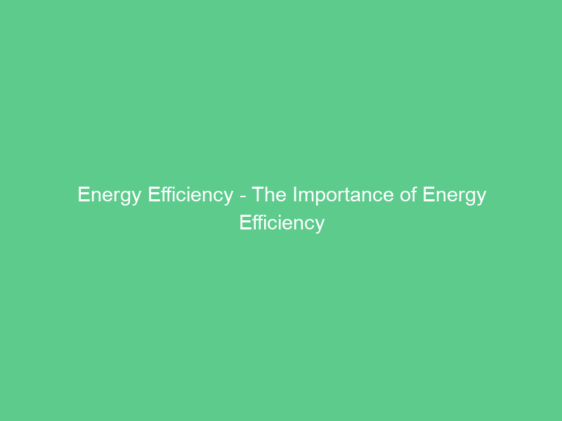 Energy Efficiency – The Importance of Energy Efficiency