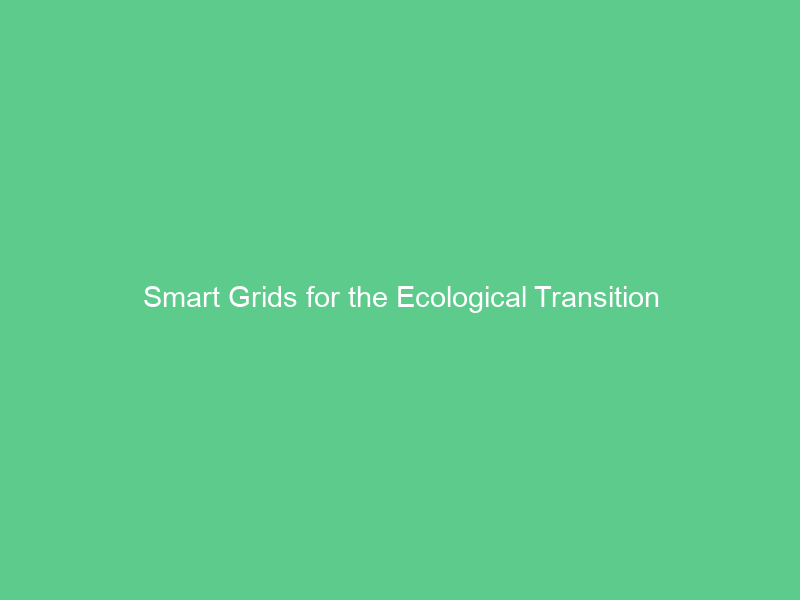 Smart Grids for the Ecological Transition