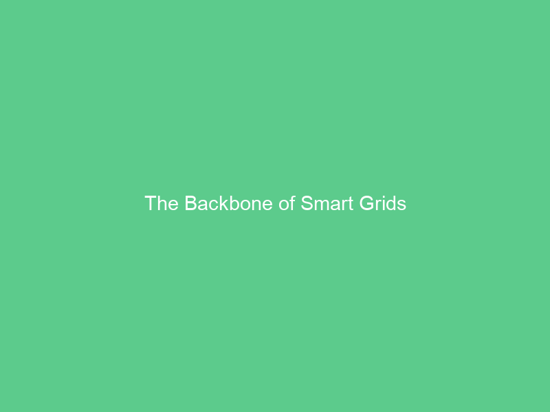 The Backbone of Smart Grids
