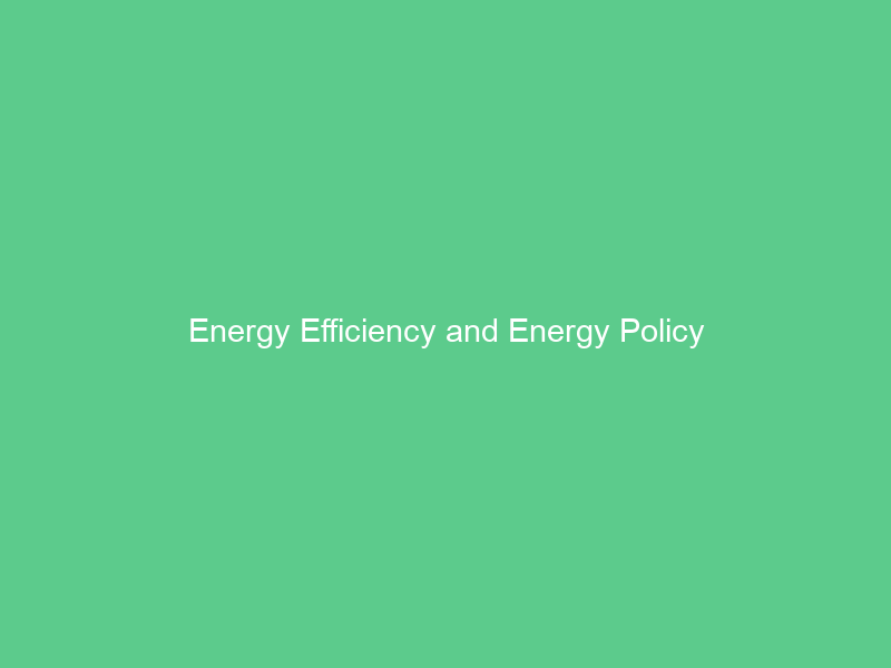 Energy Efficiency and Energy Policy