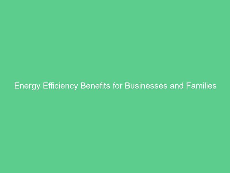 Energy Efficiency Benefits for Businesses and Families