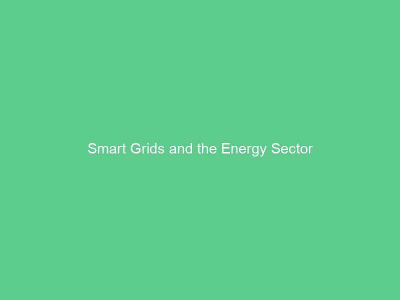 Smart Grids and the Energy Sector