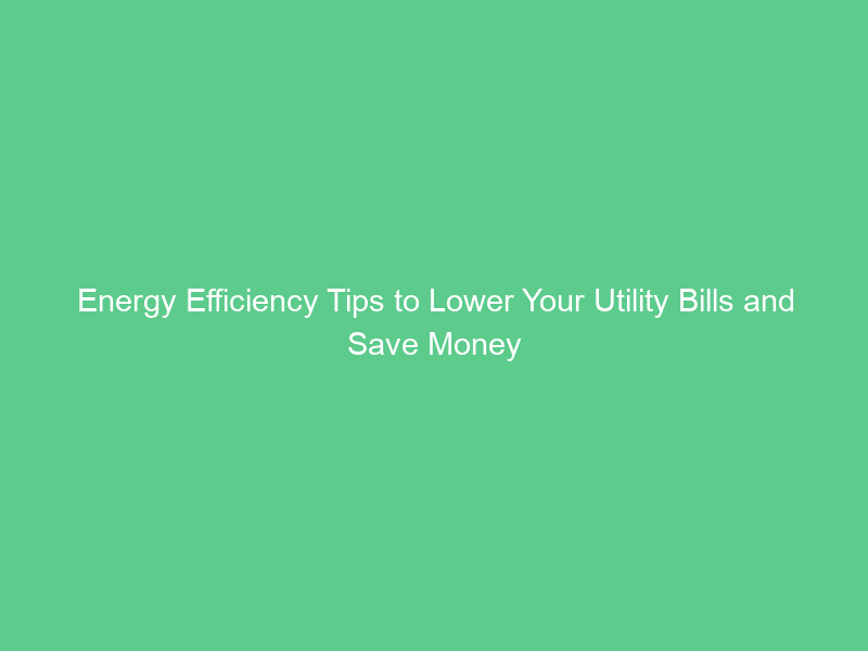 Energy Efficiency Tips to Lower Your Utility Bills and Save Money