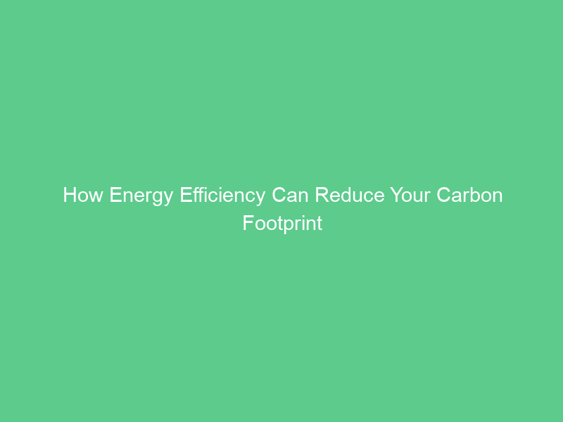 How Energy Efficiency Can Reduce Your Carbon Footprint