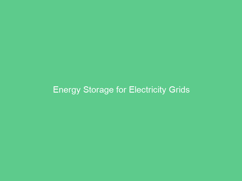 Energy Storage for Electricity Grids
