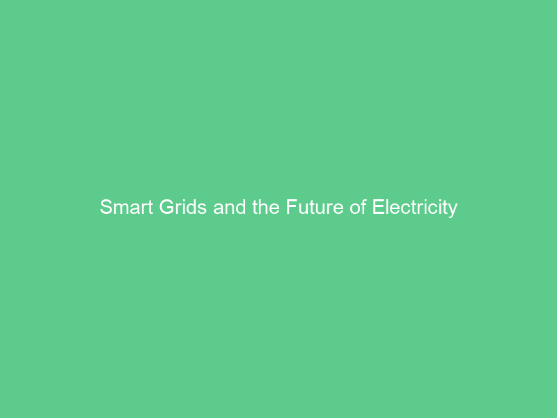 Smart Grids and the Future of Electricity