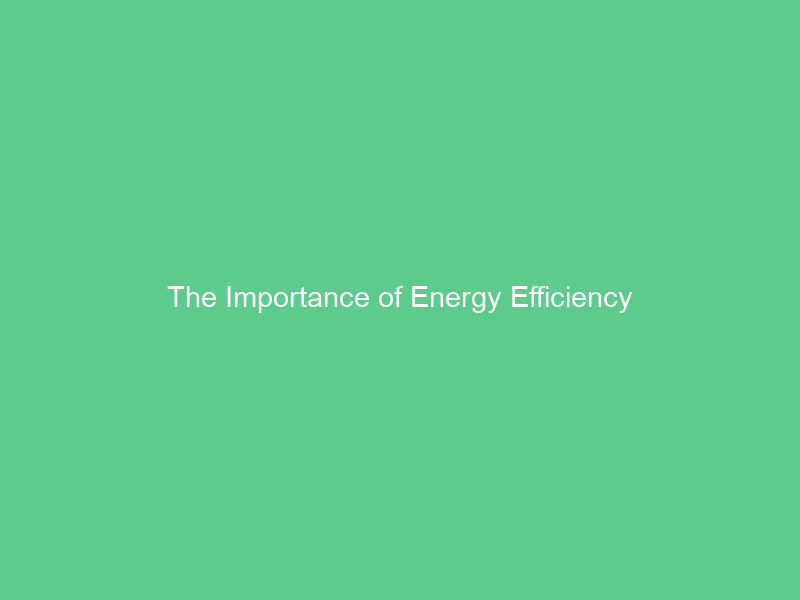 The Importance of Energy Efficiency