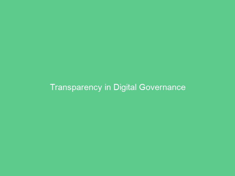 Transparency in Digital Governance