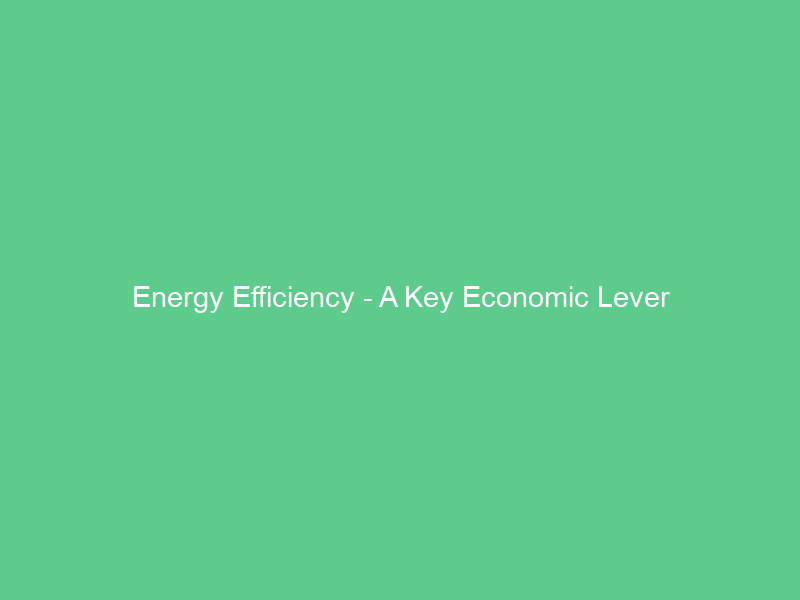 Energy Efficiency – A Key Economic Lever