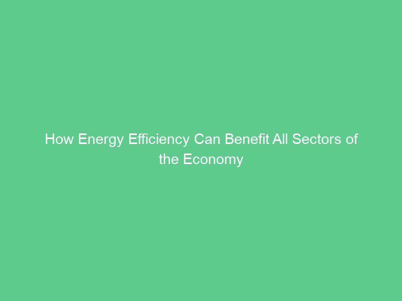How Energy Efficiency Can Benefit All Sectors of the Economy